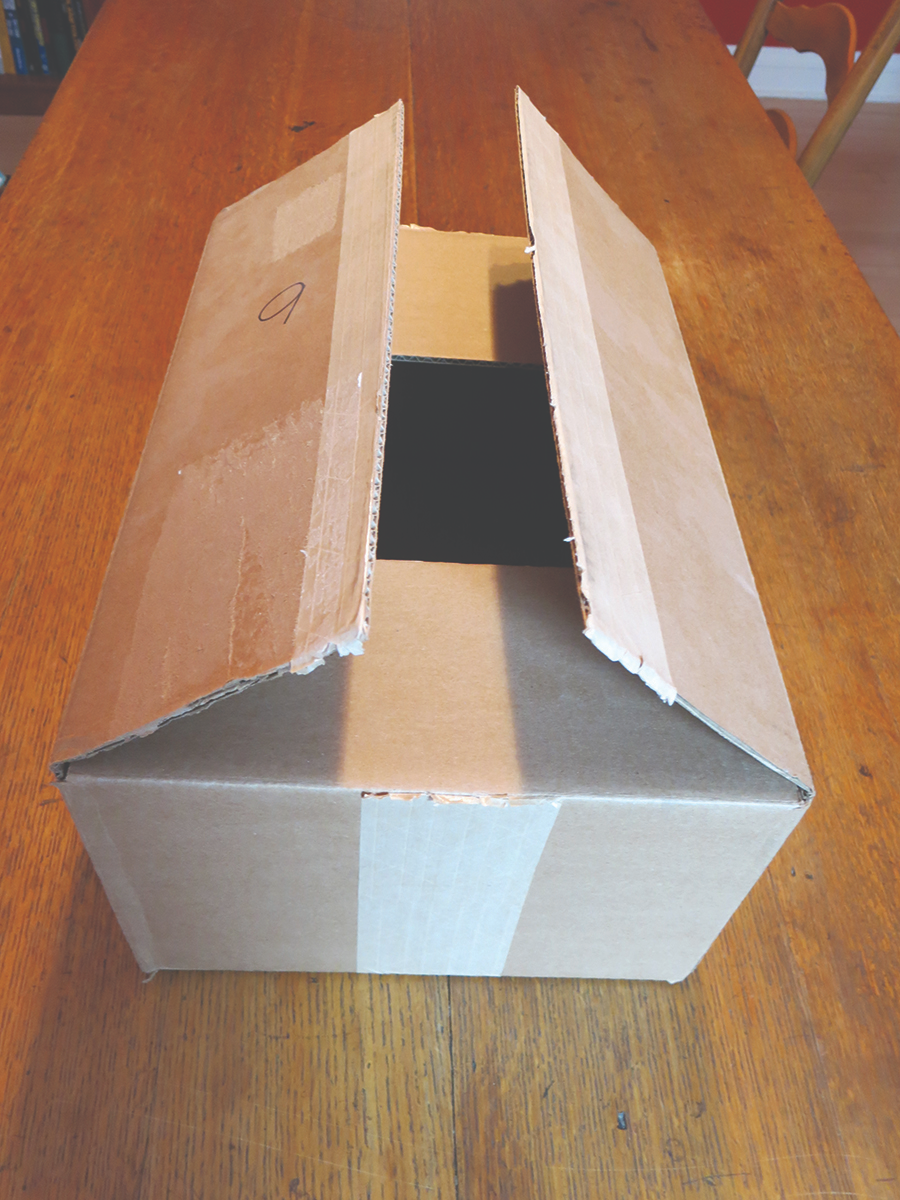 A common cardboard box.