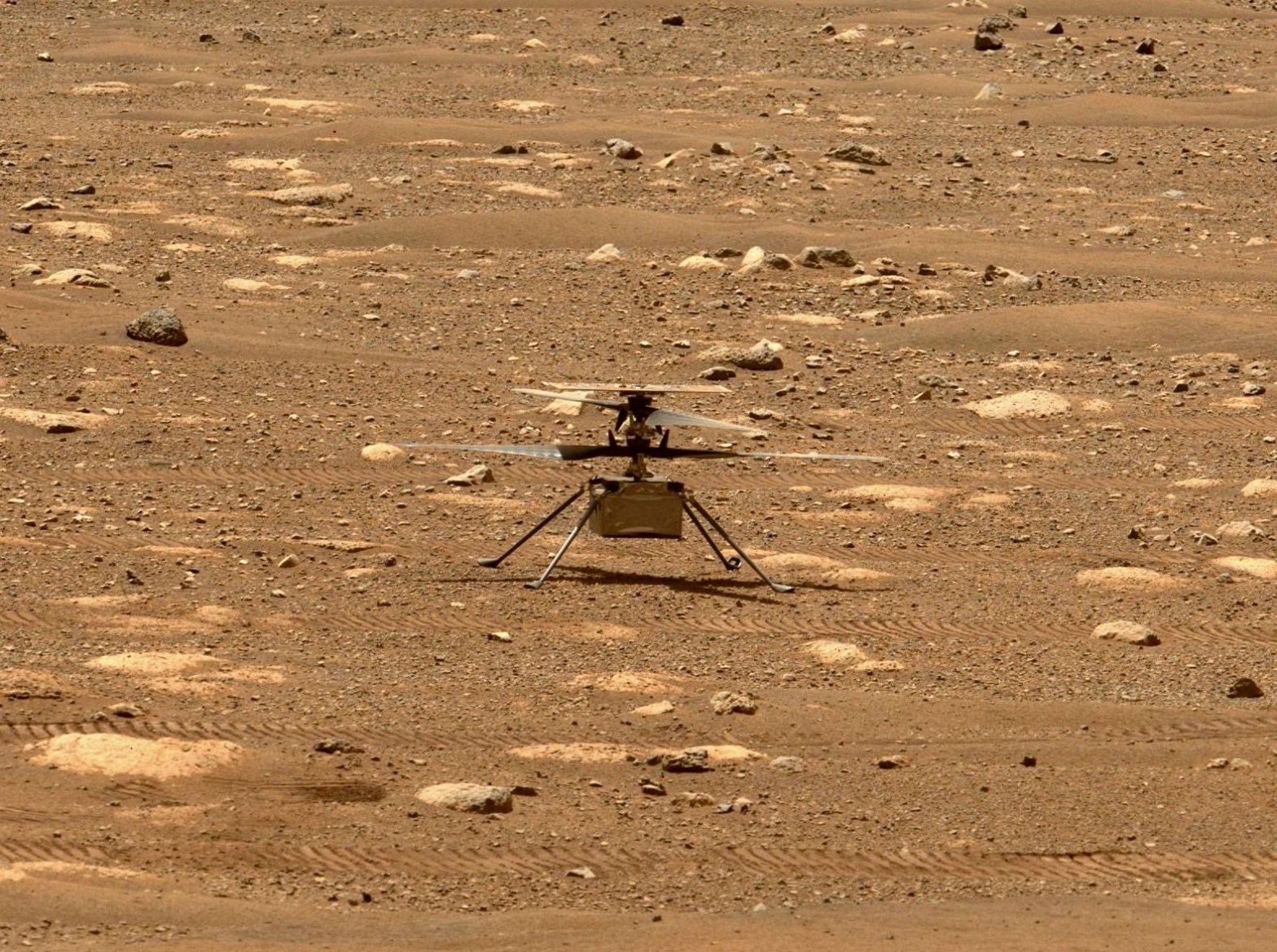 NASA's Ingenuity helicopter unlocked its rotor blades, allowing them to spin freely, on April 7, 2021. Credit: NASA.