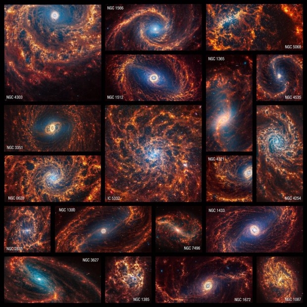 A composite showing 19 JWST photos of spiral galaxies.