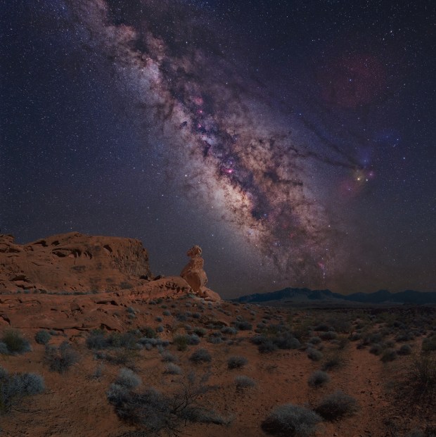 The spectacular central Milky Way, centered on Sagittarius, as imaged from the desert southwest. Credit: Tony Hallas