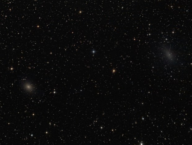 Dwarf elliptical galaxies NGC 185 and NGC 147