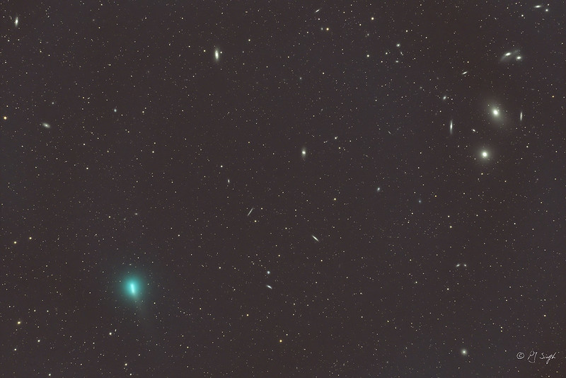 Comet 62P and Markarian's Chain of galaxies