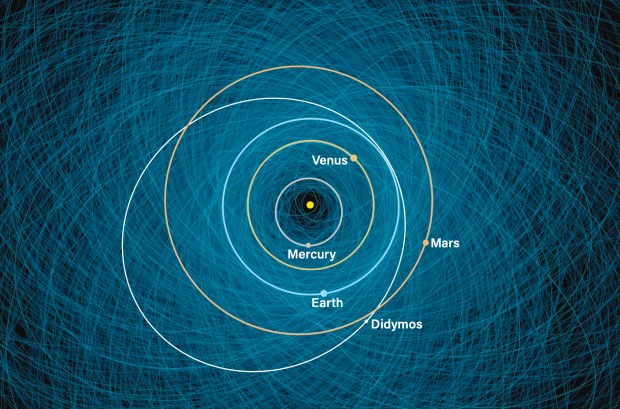 Astronomers deem an asteroid potentially hazardous if it is wider than about 460 feet (140 m) and comes within 5 million miles (8 million km) of Earth’s orbit. This chart plots the orbits of 2,200 such potentially hazardous asteroids. Highlighted in white is the orbit of Didymos; its smaller companion, Dimorphos, was the target of NASA’s Double Asteroid Redirect Test (DART) mission.