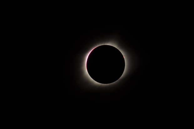 The thin pink layer of the Sun called the chromosphere — so named for its colorful appearance — is visible just after totality begins in this shot of the 2017 eclipse. 