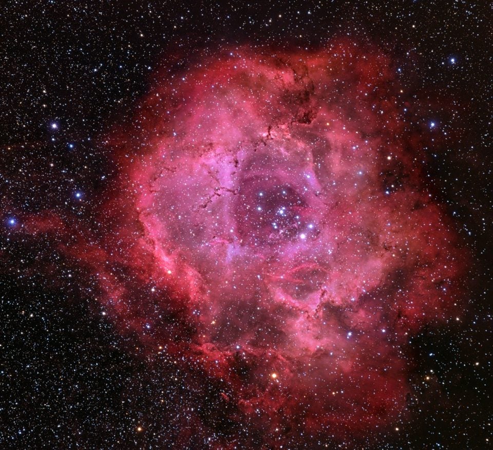 Rosette Nebula