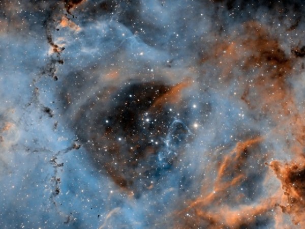 An image of the Rosette Nebular. Credit: Patrick A. Cosgrove
