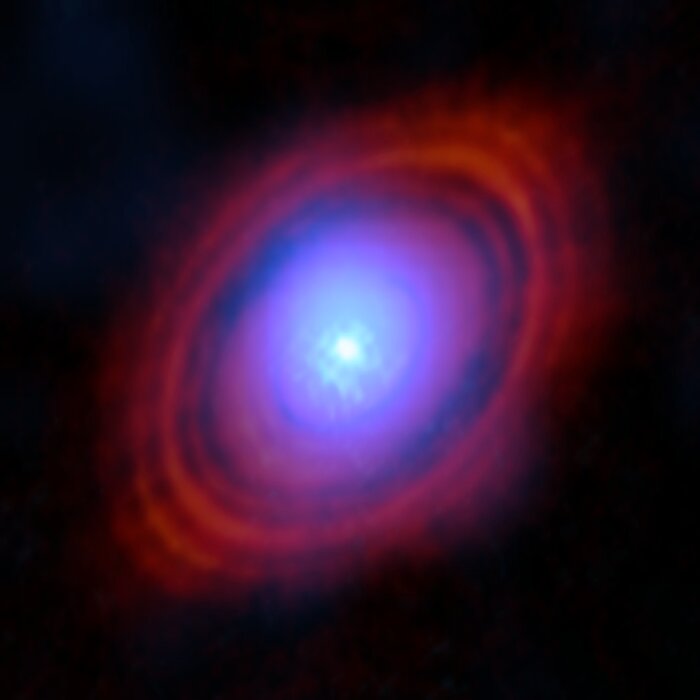 ALMA detected water vapor in HL Tauri's disk. Here it’s shown in blue. Credit: ALMA (ESO/NAOJ/NRAO)/S. Facchini et al