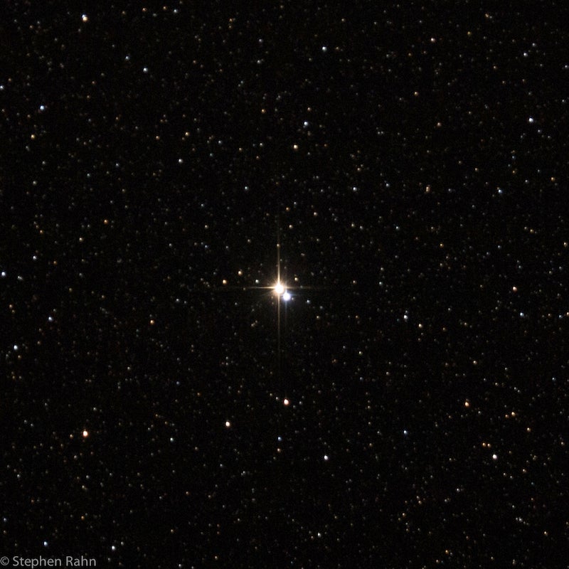 Albireo