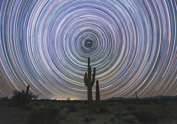 Circular star trails fill the upper three-fourths of the image, concentrating around Polaris, the North Star, just above the center of the image. Directly beneath Polaris is the silhouette of a saguaro cactus, standing amid a desert landscape.