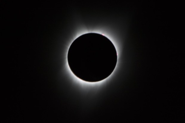 During the 2017 total solar eclipse, the Sun’s corona, only visible during the total eclipse, is shown as a crown of white flares from the surface.