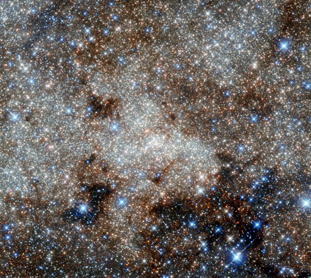There are enormous numbers of stars in our galaxy, the center of which is pictured here in an image from the Hubble Space Telescope.
