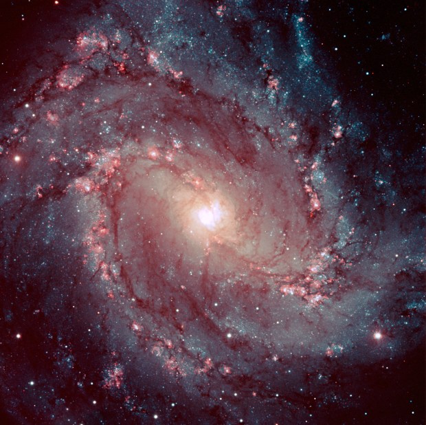 The beautiful spiral galaxy Messier 83, which our Milky Way may resemble.