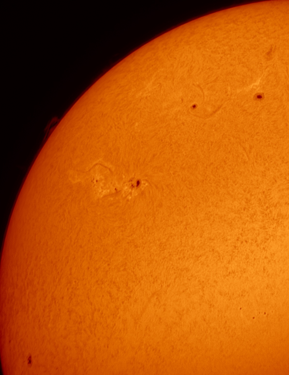 Sunspots, filaments, and plages are seen through a Coronado PST with a ZWO ASI290MM camera on March 4, 2023, in this artificially colored monochrome image. Credit: Molly Wakeling