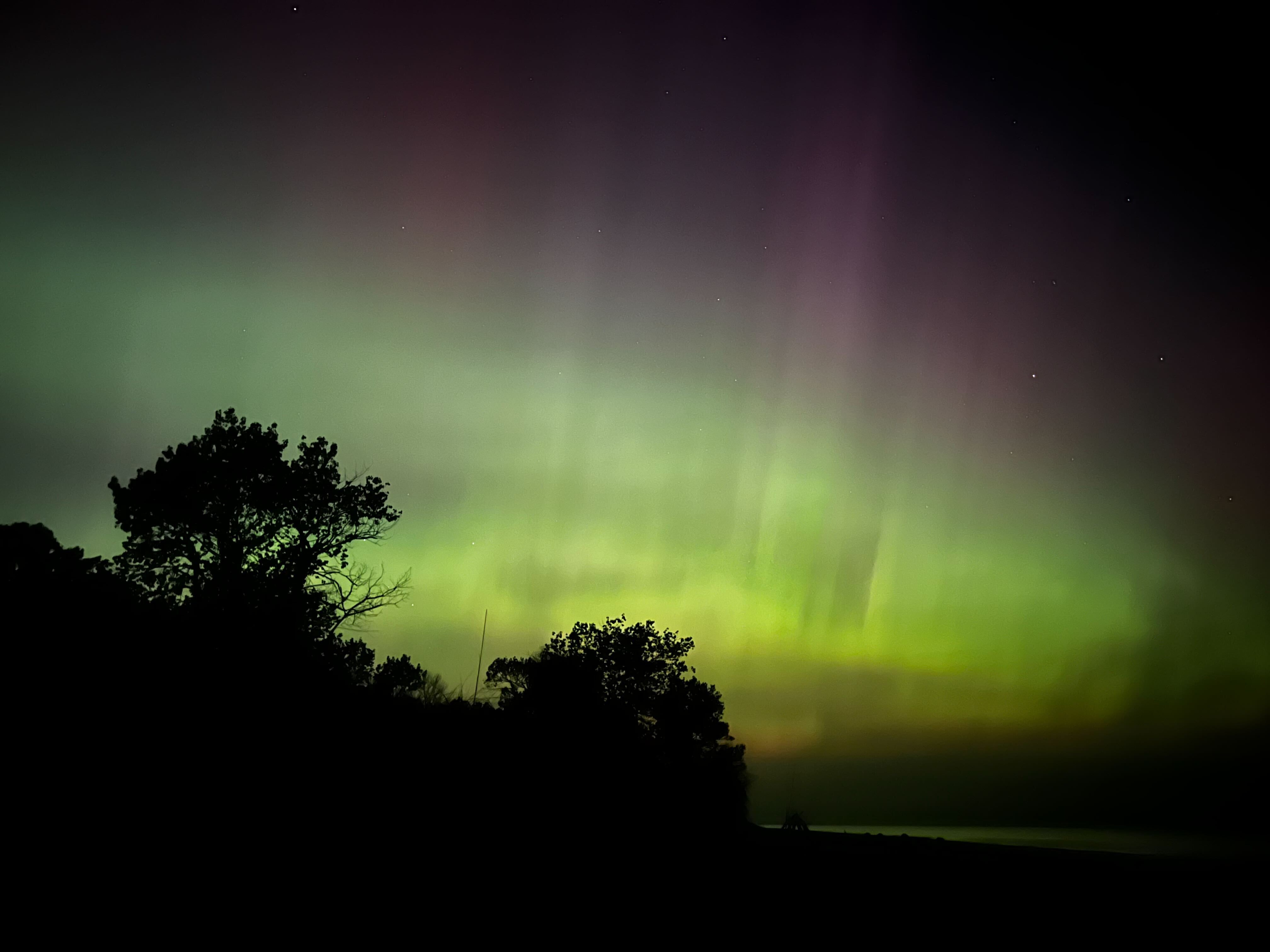 The northern lights glow serenely in the distance above trees in the foreground at Kohler-Andrae State Park in Wisconsin.